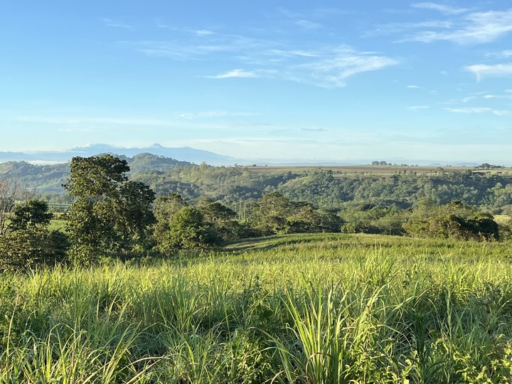 More or less 12 hectares, Along national highway, in maramag bukidnon