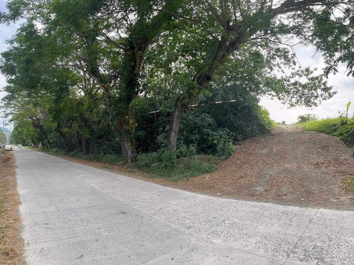 159 sqm Residential Lot For Sale in Butuan Agusan  Del Norte very near to Bancasi Airport