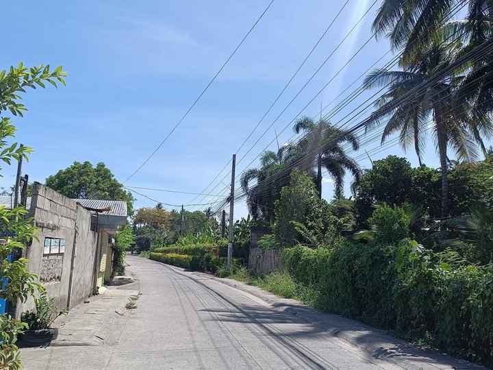 Lot for Sale In Dumaguete 4min going to Hypermart/Robinsons