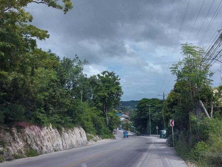 Commercial Lot for Sale in Dauis Bohol Panglao Island
