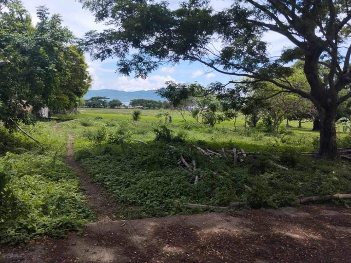 1,000 sqm Residential Farm For Sale in Jalajala Rizal