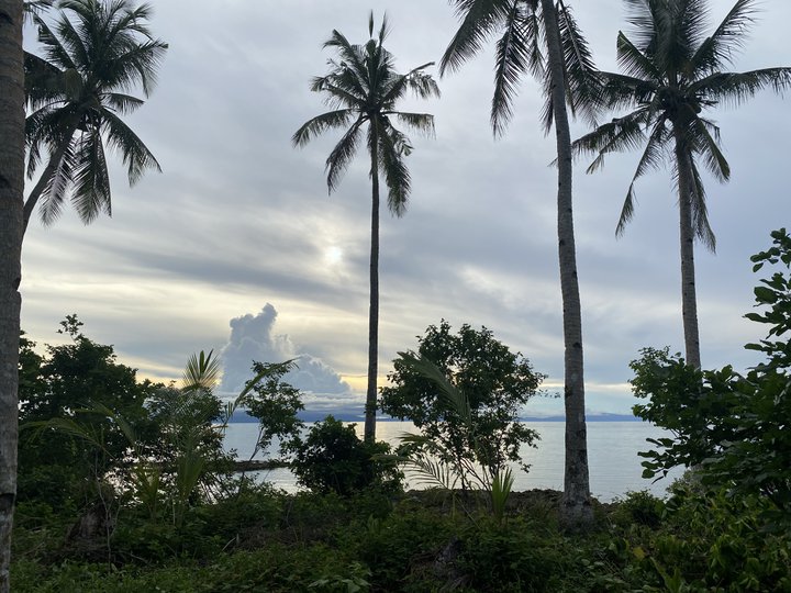 Beachfront Paradise - Panoramic View of the Ocean & Sunset