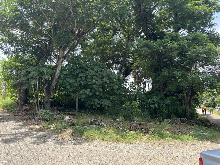 Residential Corner Lot For Sale in Maa Davao City