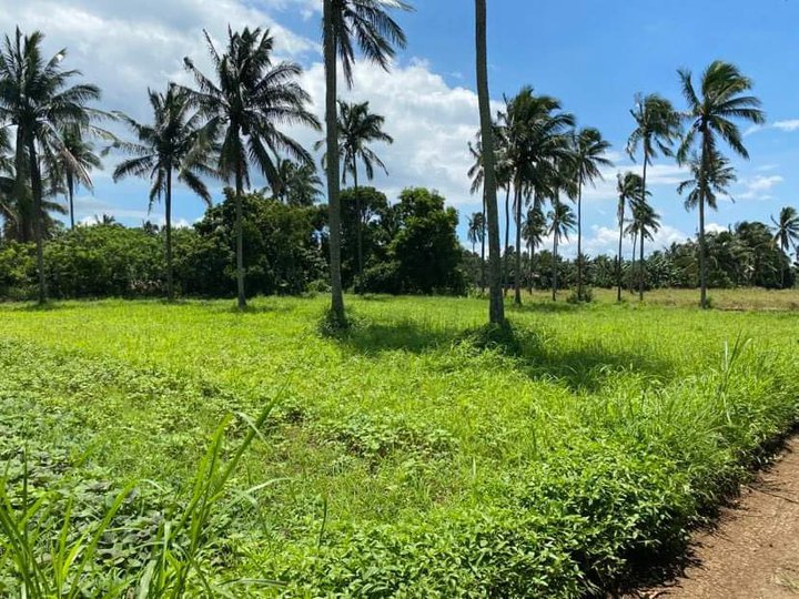1,476 sqm raw land for sale in alfonso cavite