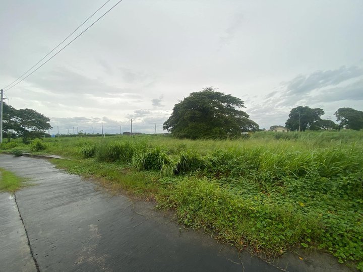 FOR SALE RESIDENTIAL LOTS WITHIN AN EXCLUSIVE COMMUNITY NEAR SM PAMPANGA AND NLEX