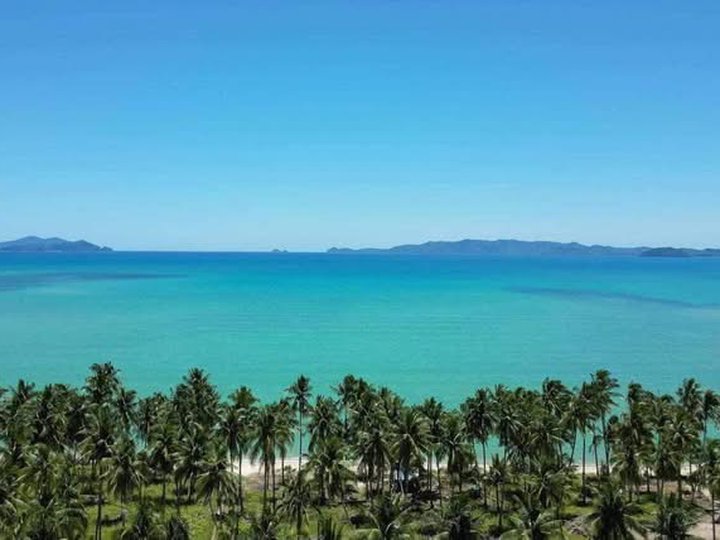 900 sqm Commercial Lot For Sale for Boutique Hotel Devt. in Paragua Coastown San Vicente Palawan