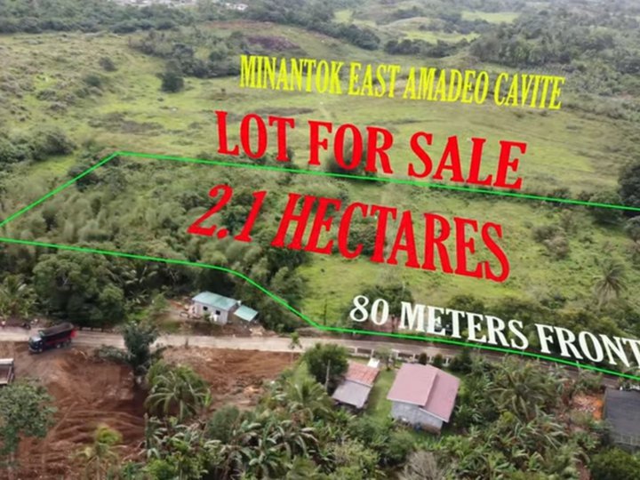 2.1 Hectares Lot for Sale with Clean Title Amadeo Cavite