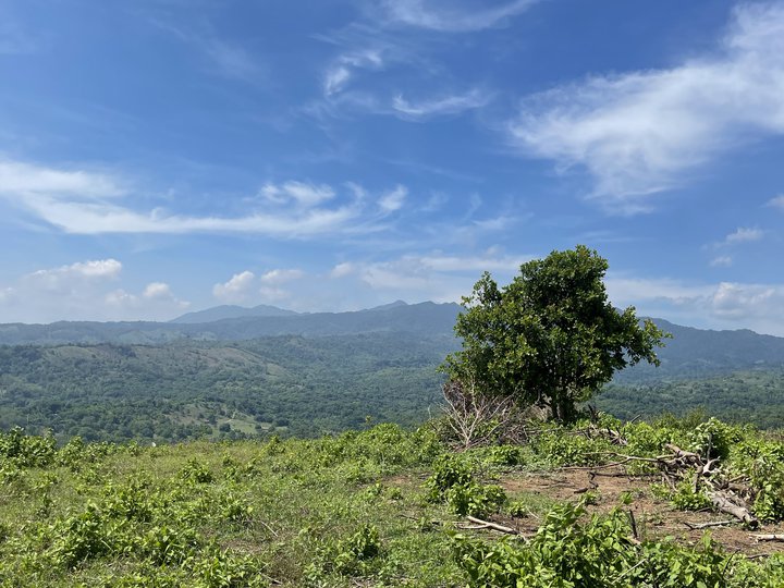 Majestic Mountain Ranch Pre Selling Lots for Sale in Mabiga Hermosa