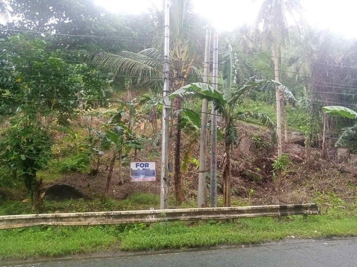 Raw Land for sale along Famy-Real-Infanta Road