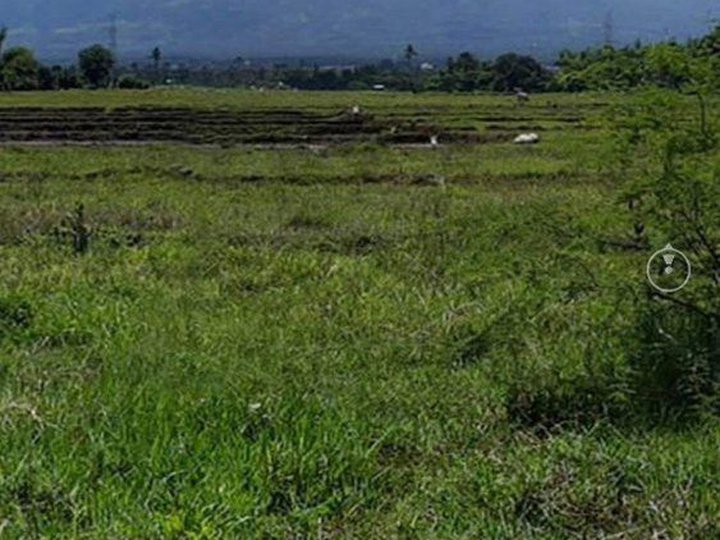 1.46 hectares Agro-Industrial Farm For Sale in Sariaya Quezon