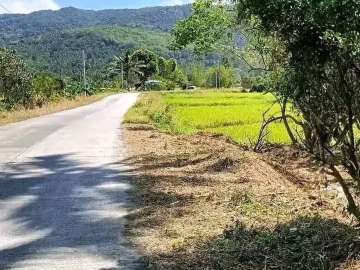 For Sale Residential Farm lot in Santa Maria Laguna