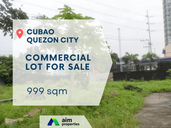 999 SQM Vacant Lot , Commercial Property For Sale in Quezon City