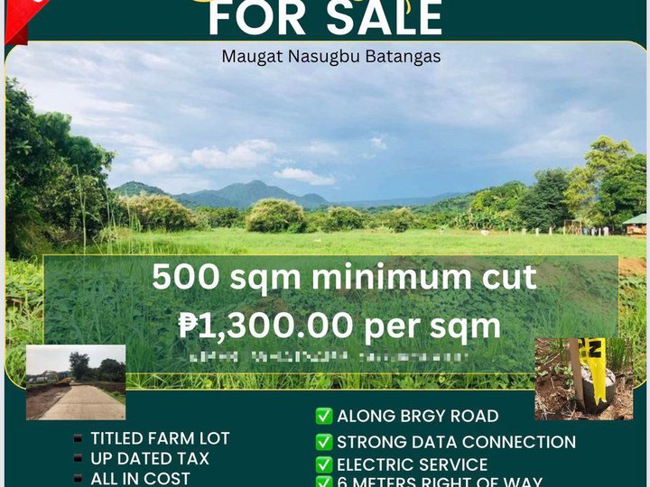 1000 sqm Agricultural Farm For Sale in Nasugbu Batangas