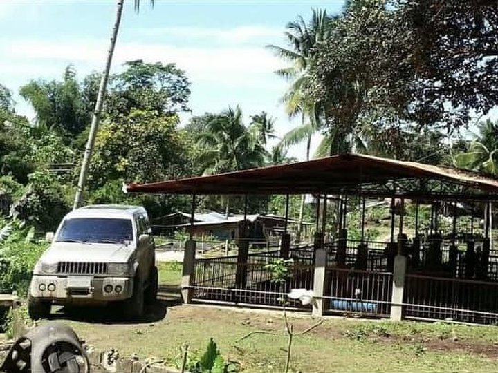 5.44 hectares Agricultural Farm For Sale in Toled Cebu