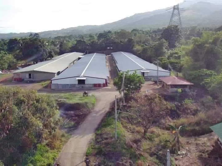 Poultry farm ready to opperate