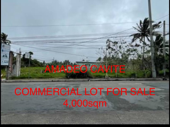 4,000 sqm COMMERCIAL LOT for Sale in Amadeo Cavite