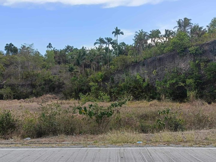 5,383 sqm Commericial/Residential Lot for Sale In Barrio Santa Cruz, Ronda Cebu