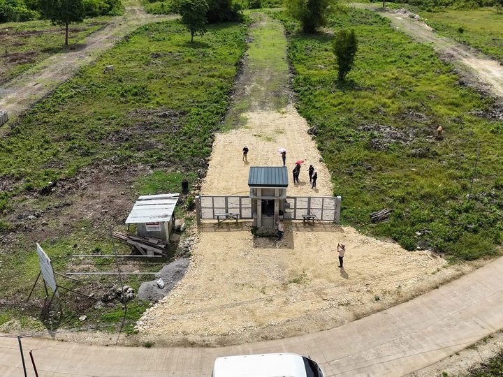 Commercial/Residential Lot For Sale in Dauis Panglao Island Bohol