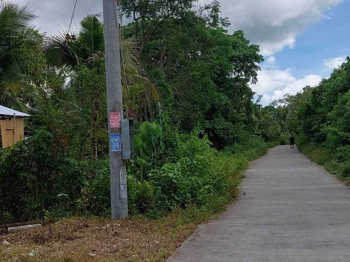 Affordable Commercial/Residential Lot in Panglao Island Bohol