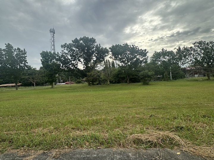 180 sqm Residential Lot For Sale in South Grove Davao City