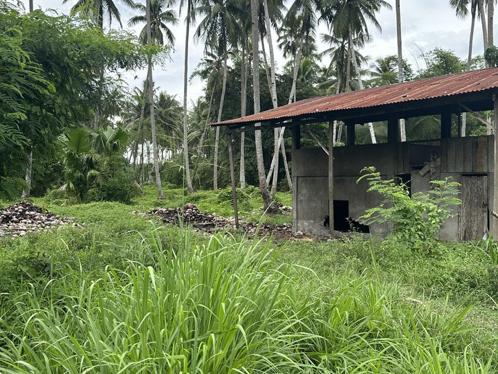 Industrial Farm Lot For Sale in Carmen Davao Del Norte