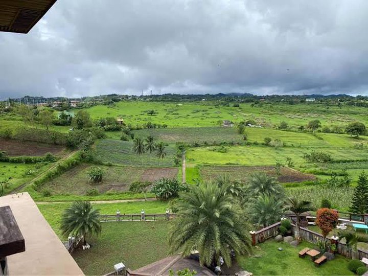 Farm lot for sale inside the subdivision in Amedeo Cavite