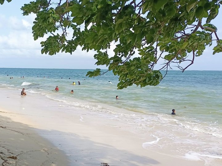 1.62 hectares White Sand Beach Property For Sale in Siruma Camarines Sur