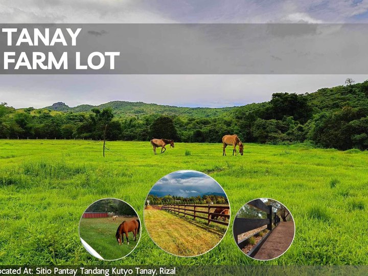 NO DOWN PAYMENT FARM LOT 5 YRS INSTALLMENT