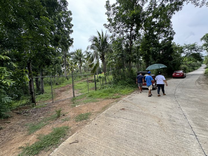 21 hectares Raw Land For Sale in Orani Bataan