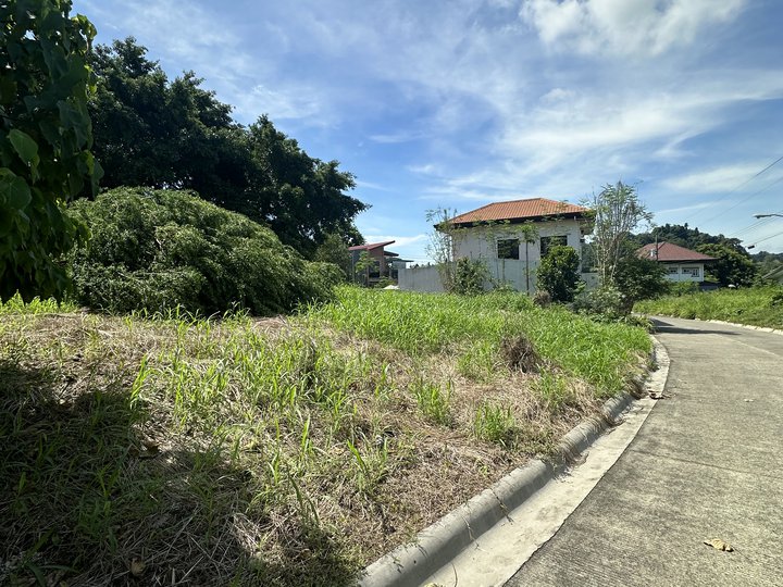 135 sqm Residential Lot For Sale in Davao City