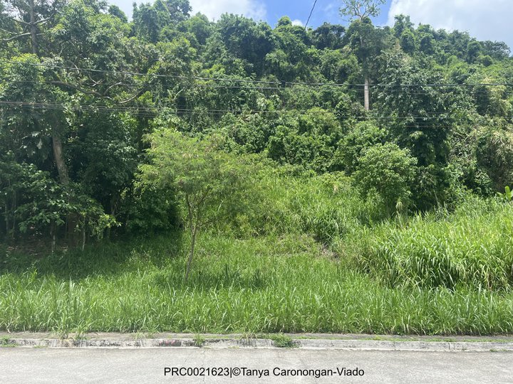 Lot next to Open Space|Sun Valley Antipolo