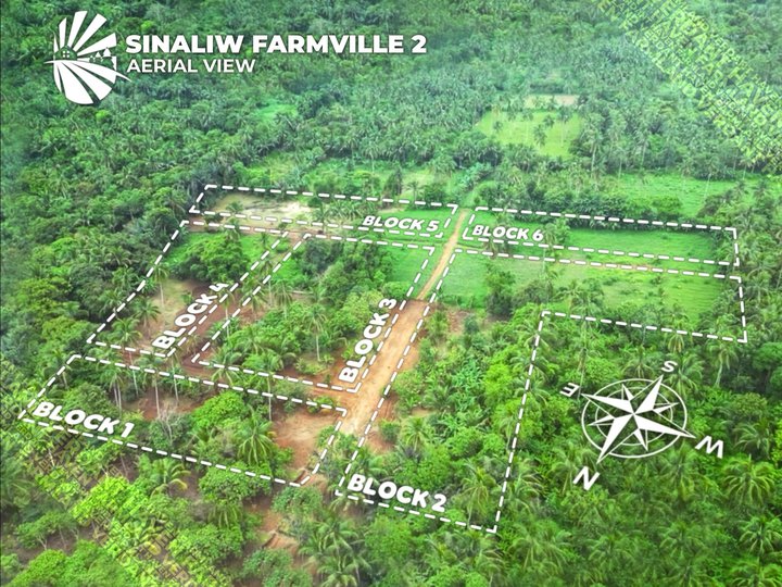 600sqm resi-farm located in Brgy. Sinaliw Malaki, Alfonso, Cavite