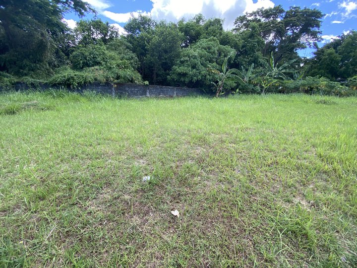 Residential Lot 366 sqm For Sale in Antipolo City