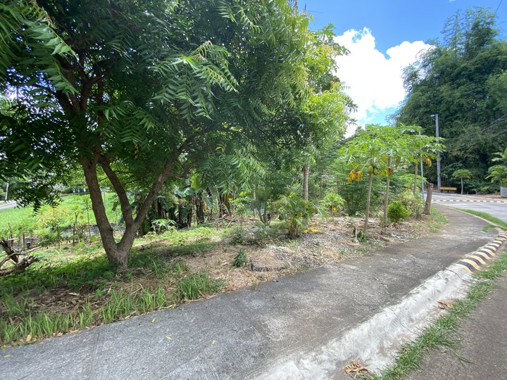 Residential Lot 216 sqm For Sale in Antipolo City