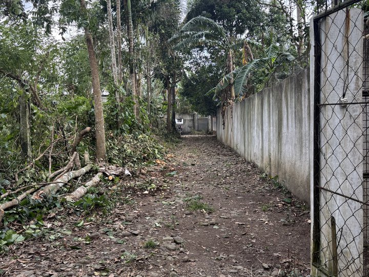 Clean Title May right of way / Meralco/ water source : deepwell/ With coconut trees and 2 lanzones