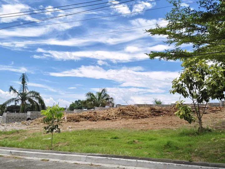 293 sqm Residential Lot For Sale in Davao City