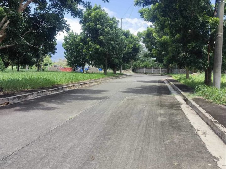 120 sqm Residential Lot For Sale in Calamba Laguna