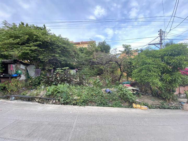 ARE YOU LOOKING FOR A RESIDENTIAL LOT  IN LAWAAN TALISAY CEBU?