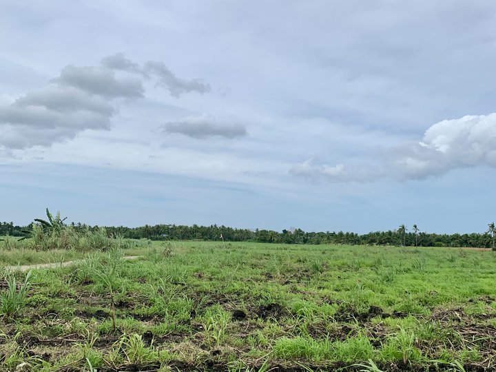 FarmLot in Medellin Cebu