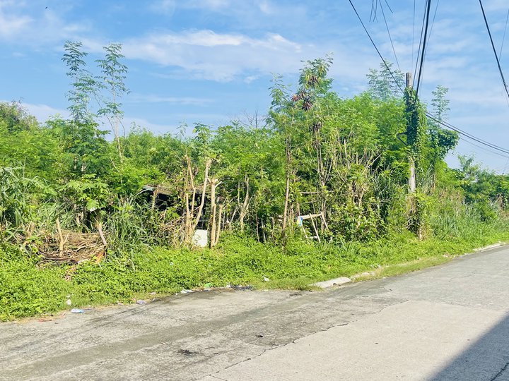 1,710 sqm Industrial Lot For Rent in Las Pinas Metro Manila