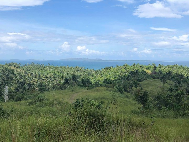 3 hectares Residential Lot For Sale in Mercedes Camarines Norte