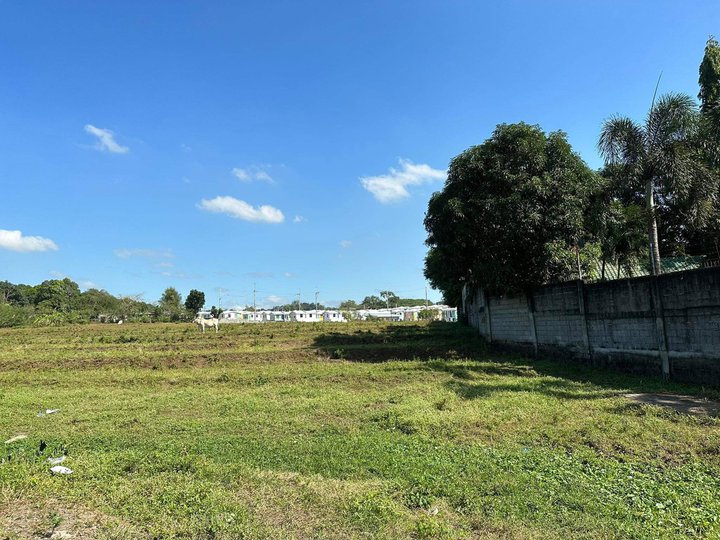 1.16 hectares Raw Land For Sale in Santa Maria Bulacan