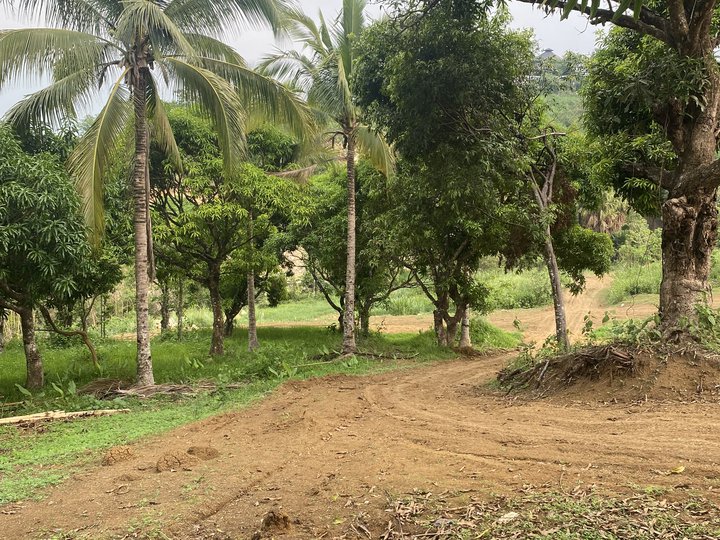 Farm lot,vocation house,retirement