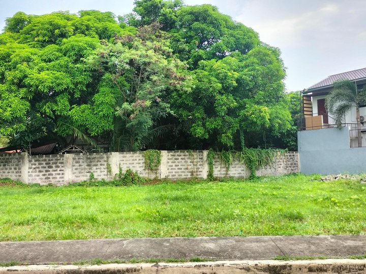 LOT for SALE 146sqm in SOUTHFIELDS EXECUTIVE Vill., Salitran, Dasmarinas, Cavite