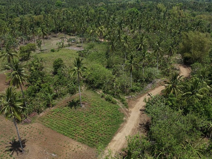 1 hectare Residential Farm For Sale in Indang Cavite