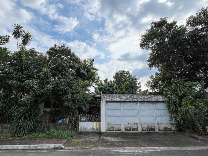 432 sqm Residential Lot for sale in Quezon City nr Bagumbayan C5 Green