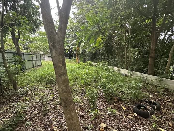 Overlooking Lot For Sale in Catalunan Pequeno Davao City