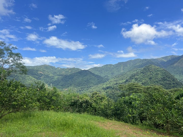 100 sqm Residential Lot For Sale in Tuba Benguet