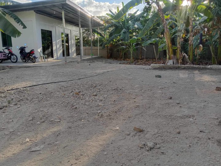 600 sqm Residential Lot For Sale in Capas Tarlac
