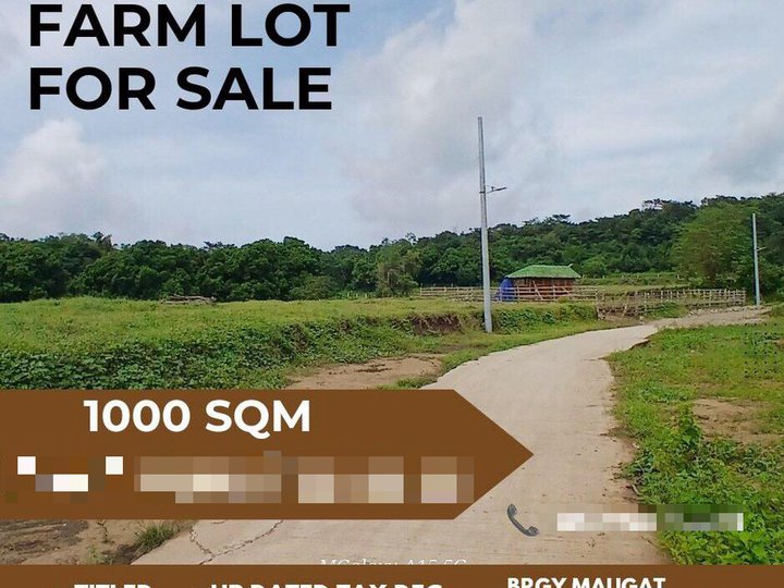 1000 sqm Agricultural Farm For Sale in Nasugbu Batangas